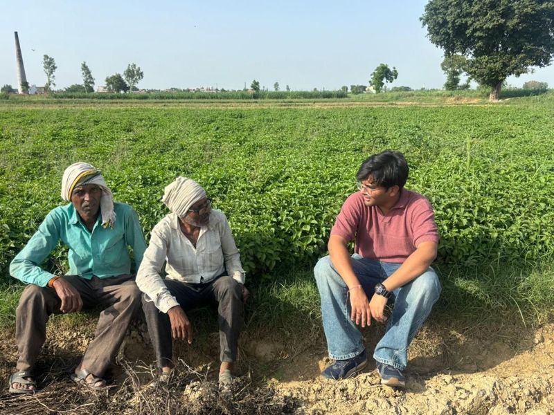 Farmers in a mint field