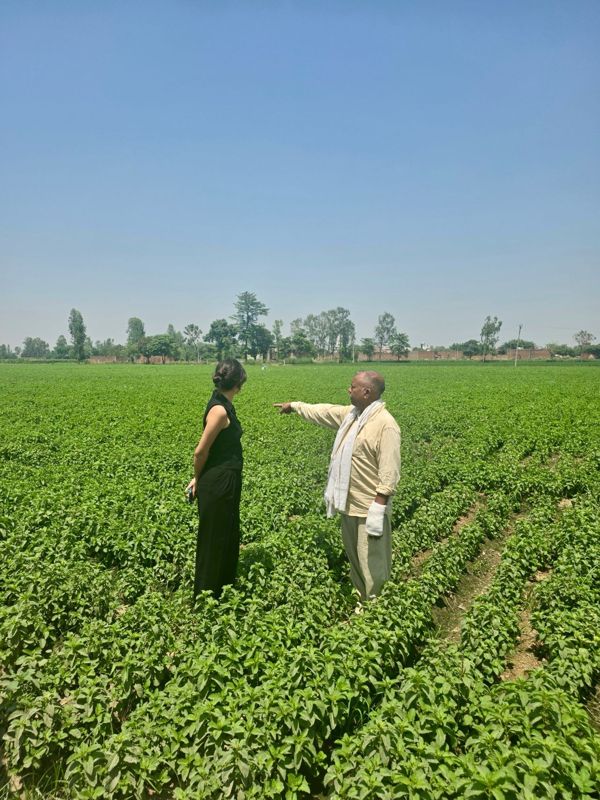Customers in the field