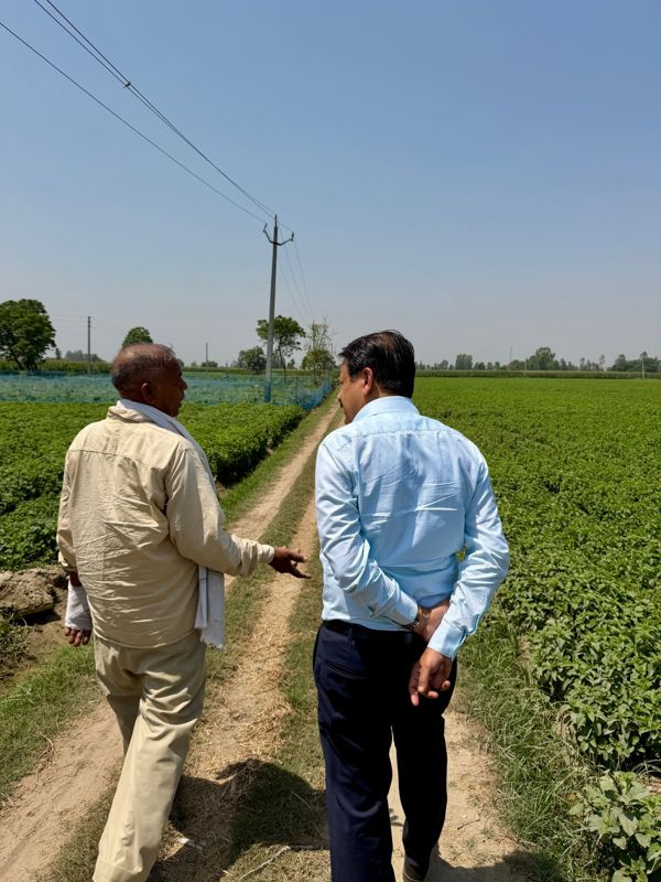 Field visit before harvest