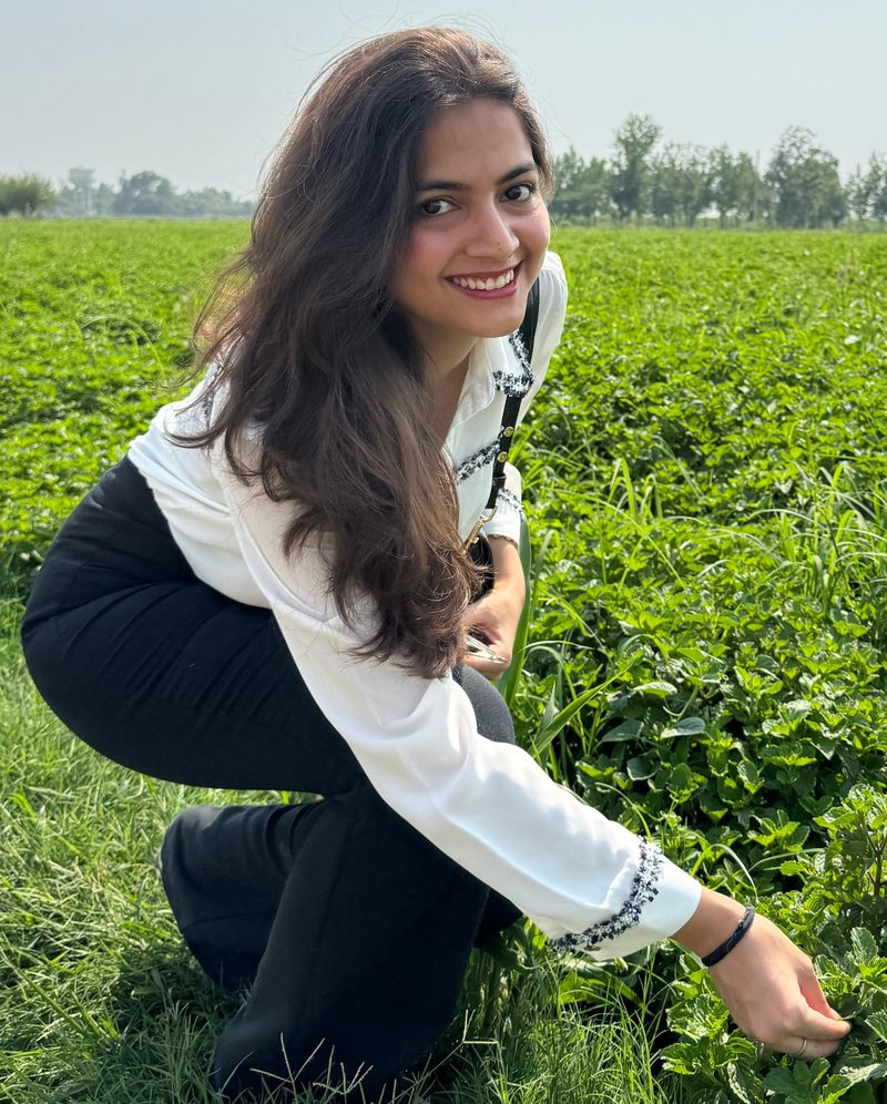 Checking the crop