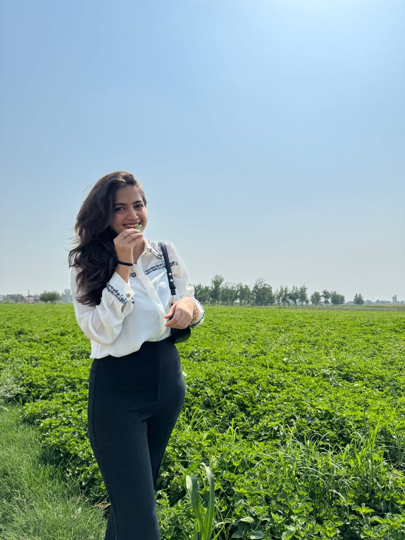 In the mint fields